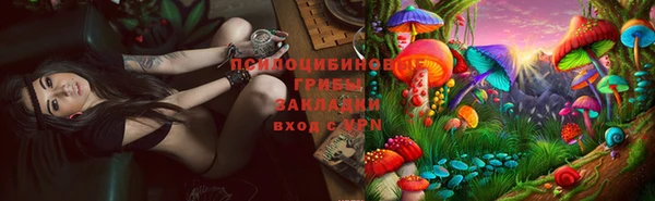амф Аркадак