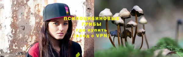 прущий лед Арсеньев